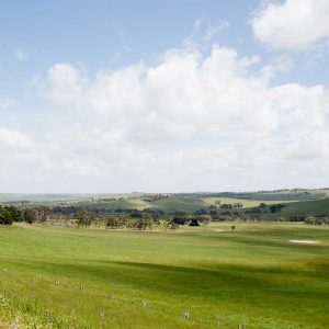 wando-lodge-website-banner-doc
